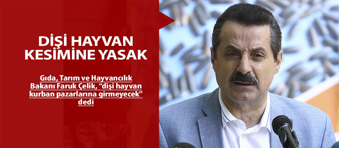 ‘Dişi hayvan kurban pazarına girmeyecek’