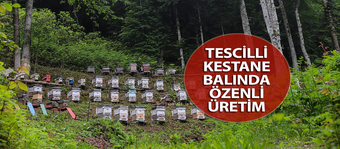 Tescilli kestane balında özenli üretim