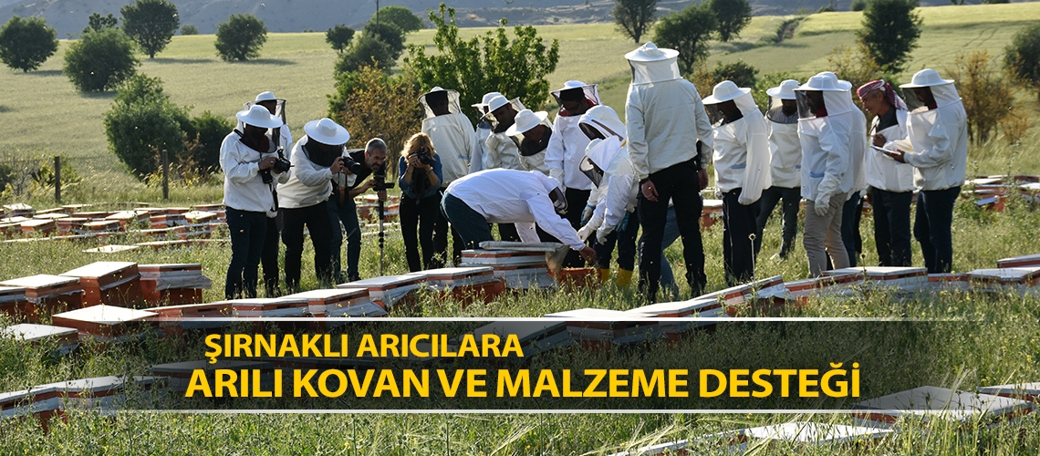 Şırnaklı arıcılara arılı kovan ve malzeme desteği