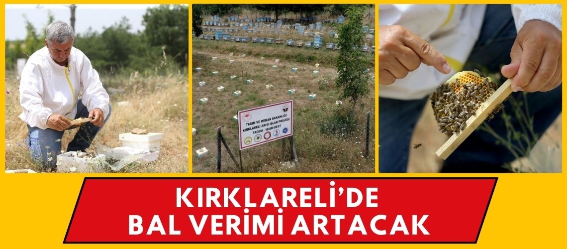 Kırklareli’de bal verimi artacak