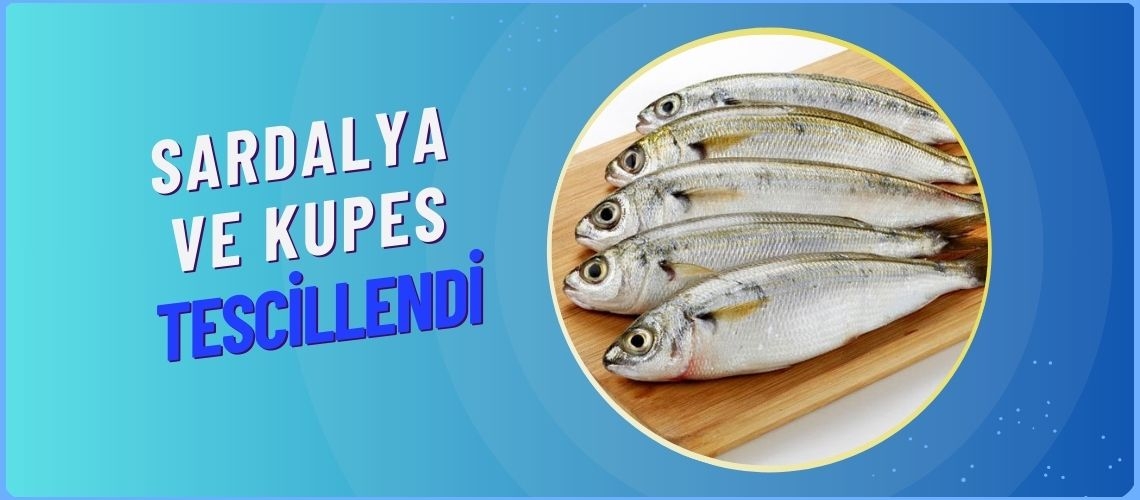 Sardalya ve kupes tescillendi