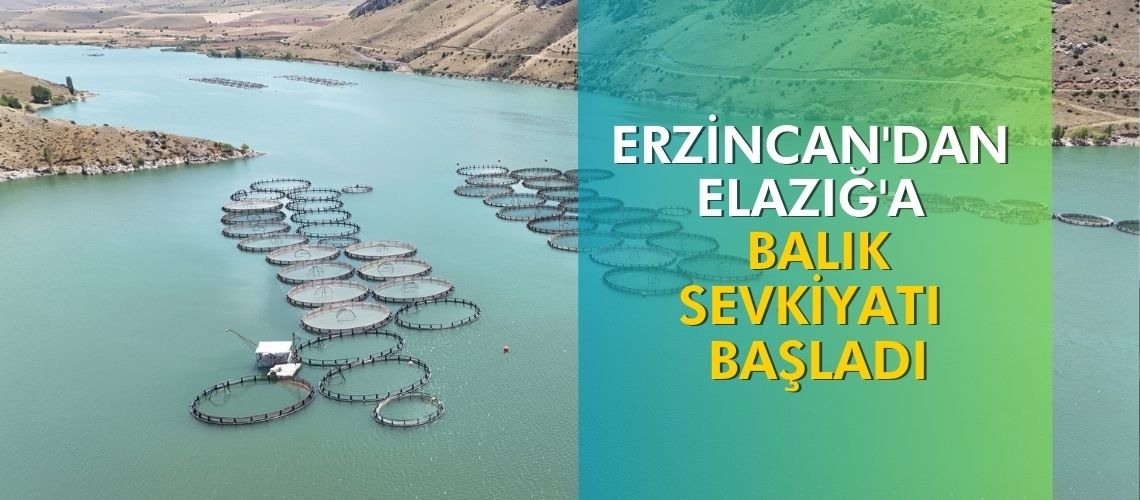 Erzincan'dan Elazığ'a balık sevkiyatı başladı