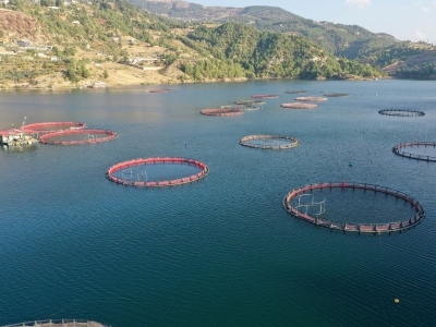 Kahramanmaraş’tan dünyaya balık ihracatı