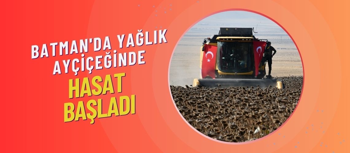 Batman'da yağlık ayçiçeğinde hasat başladı