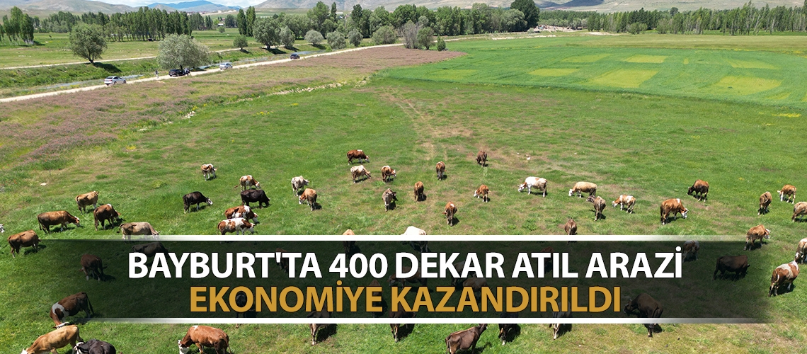 Bayburt'ta 400 dekar atıl arazi ekonomiye kazandırıldı
