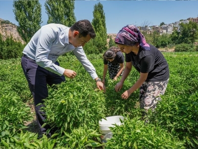 Gurbetçiler Çermik biberiyle hasret gideriyor