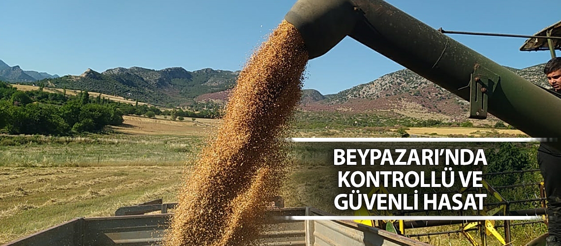 Beypazarı’nda kontrollü ve güvenli hasat