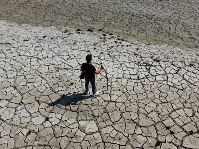 Batı Karadeniz’de üretim alışkanlığı değişiyor