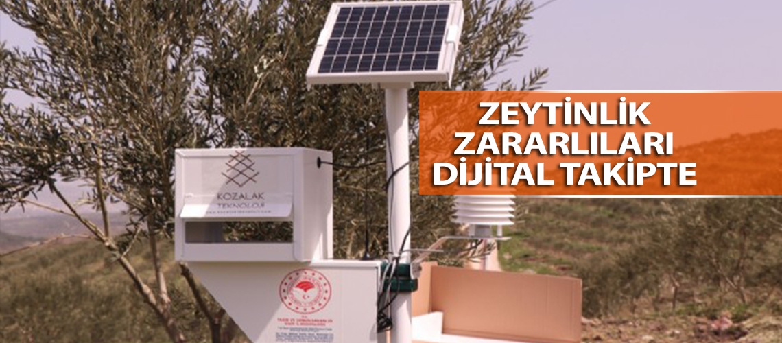 Zeytinlik zararlıları dijital takipte