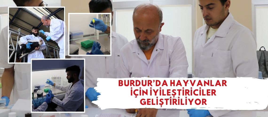 Burdur'da hayvanlar için iyileştiriciler geliştiriliyor