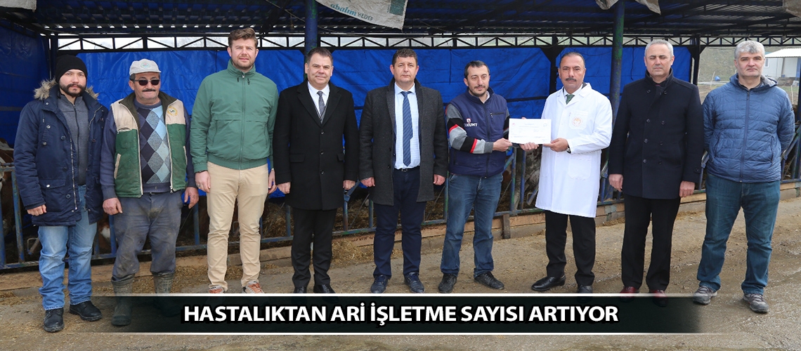 Hastalıktan ari işletme sayısı artıyor