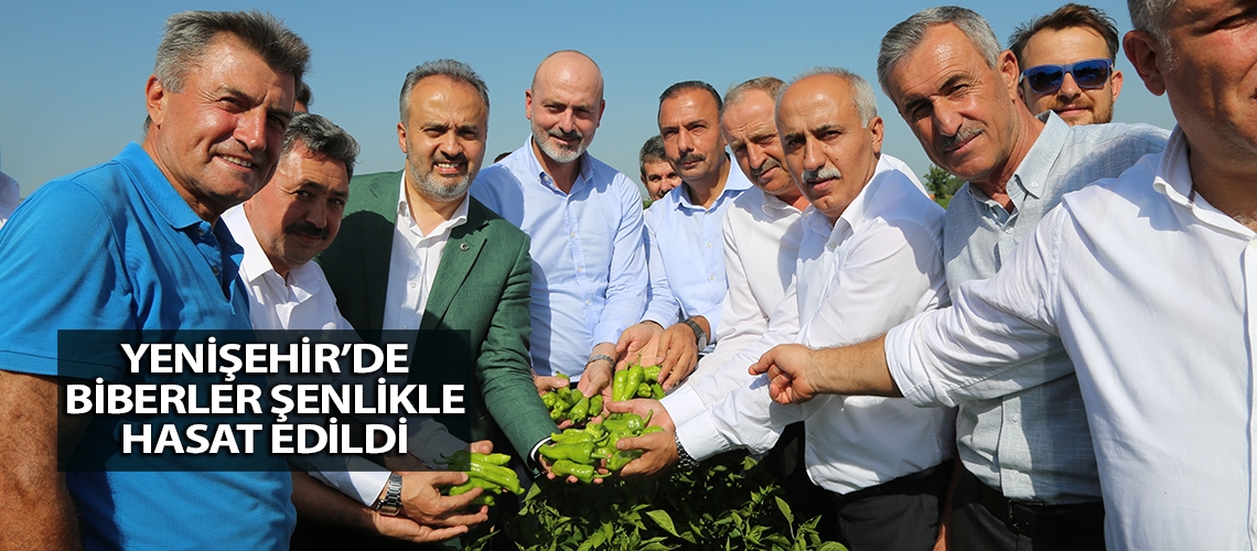 Yenişehir’de biberler şenlikle hasat edildi