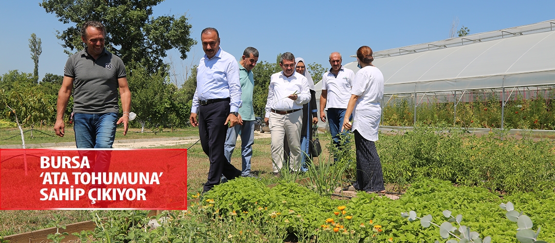 Bursa ‘ata tohumuna’ sahip çıkıyor