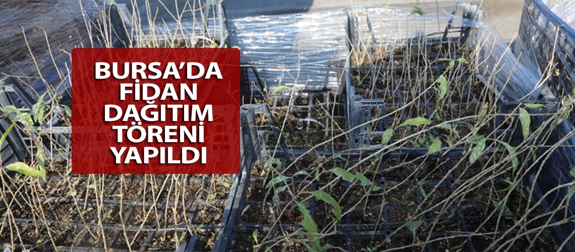 Bursa’da fidan dağıtım töreni yapıldı