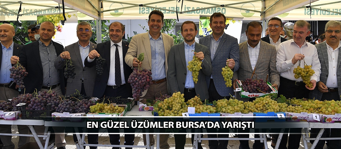 En güzel üzümler Bursa’da yarıştı