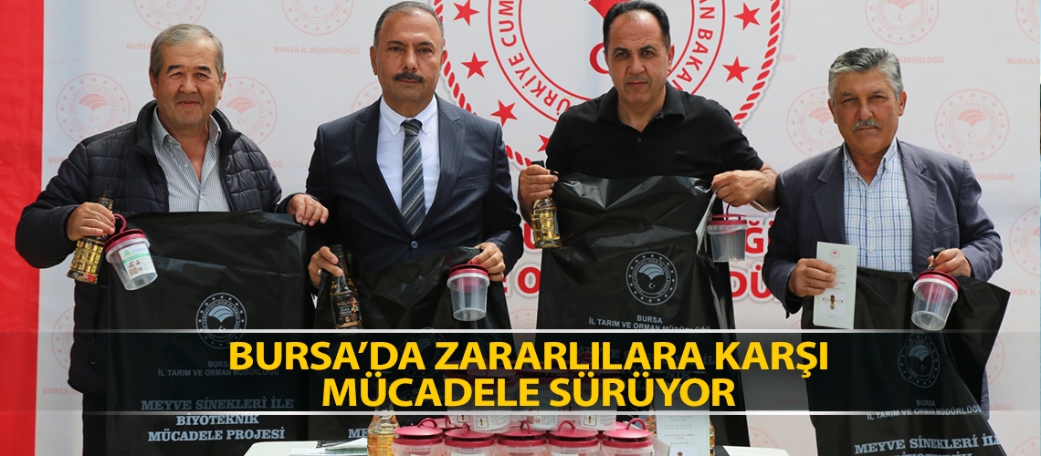 Bursa’da zararlılara karşı mücadele sürüyor