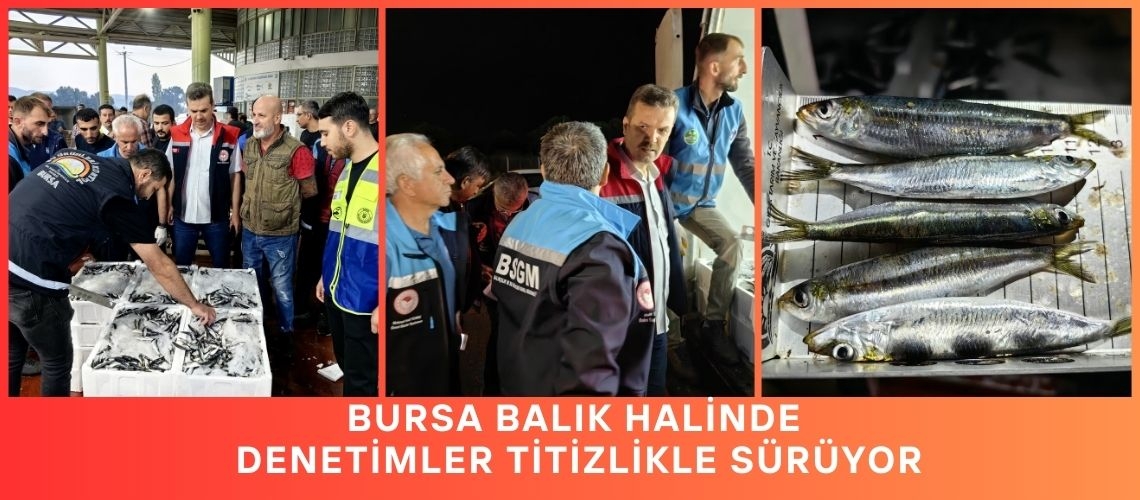 Bursa balık halinde denetimler titizlikle sürüyor