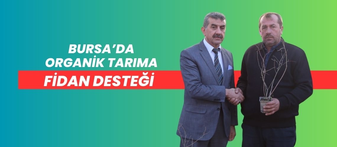 Bursa’da organik tarıma fidan desteği