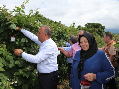 Bursa’da zararlılara karşı mücadele sürüyor