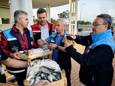 Bursa balık halinde denetimler titizlikle sürüyor