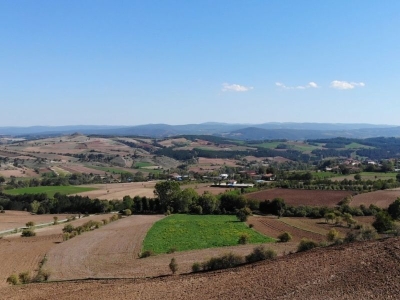 Bilinçli tarımla üretilen çeltikten rekor verim alındı