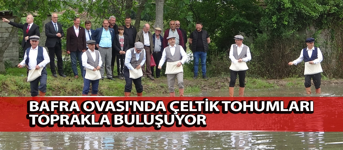 Bafra Ovası'nda çeltik tohumları toprakla buluşuyor