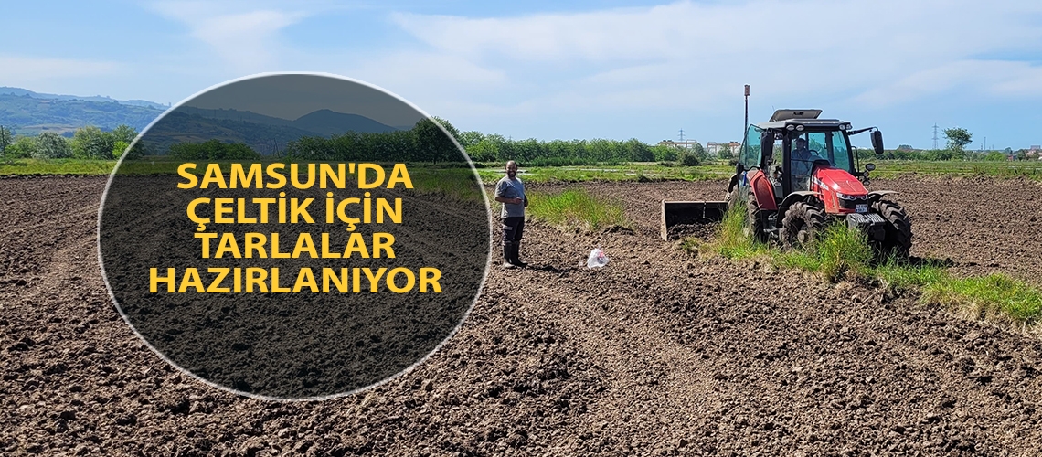 Samsun'da çeltik için tarlalar hazırlanıyor