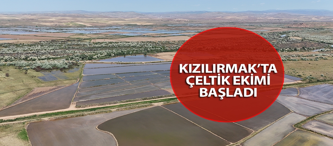 Kızılırmak’ta çeltik ekimi başladı