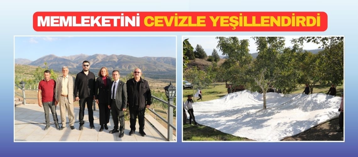 Memleketini cevizle yeşillendirdi