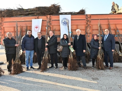 “Türkiye’nin Ceviz Bahçesi” fidan desteğiyle büyüyor