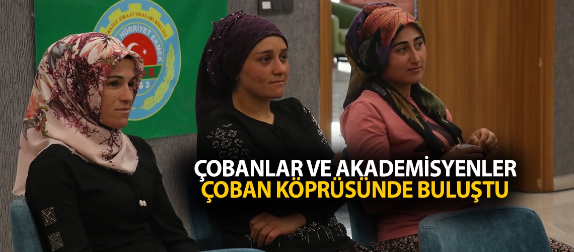 Çobanlar ve akademisyenler çoban köprüsünde buluştu