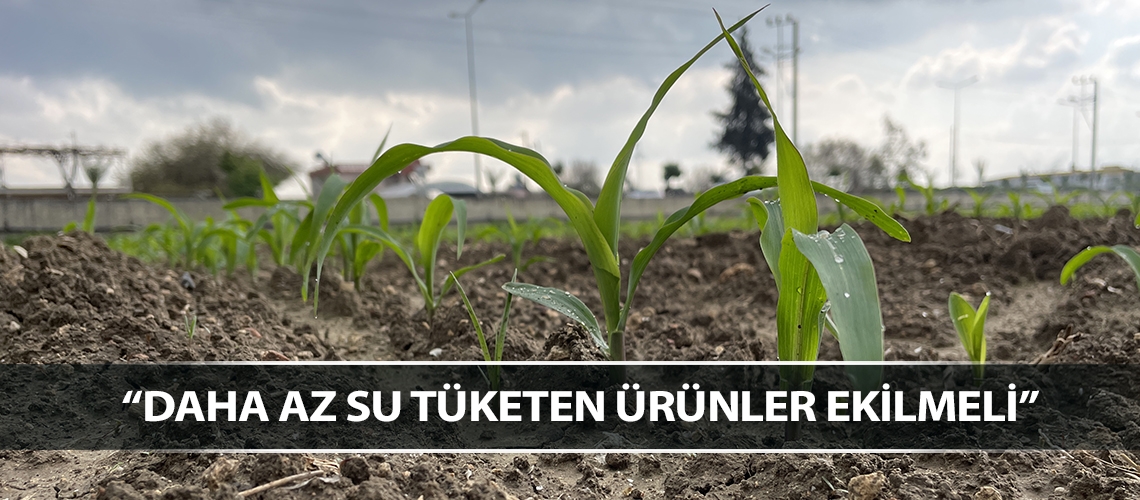 “Daha az su tüketen ürünler ekilmeli”