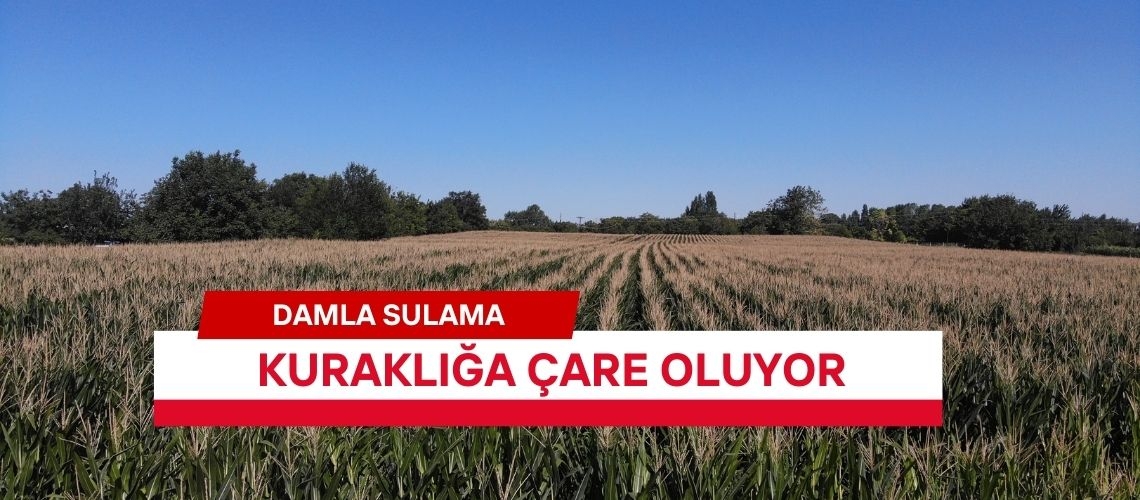 Damla sulama kuraklığa çare oluyor