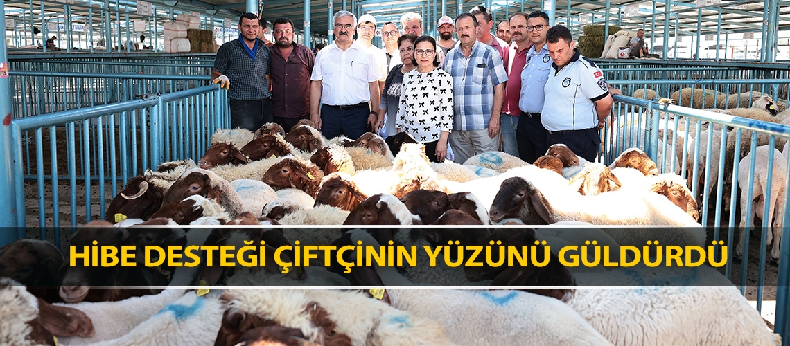 Hibe desteği çiftçinin yüzünü güldürdü