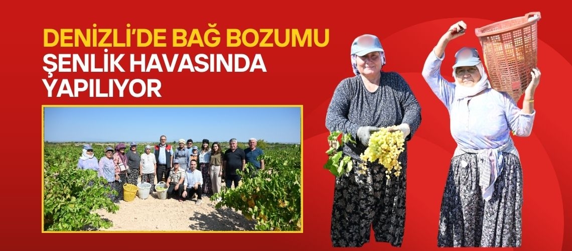 Denizli’de bağ bozumu şenlik havasında yapılıyor