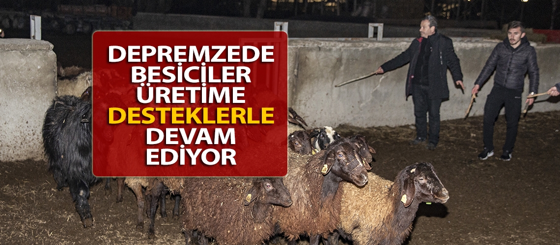 Depremzede besiciler üretime desteklerle devam ediyor