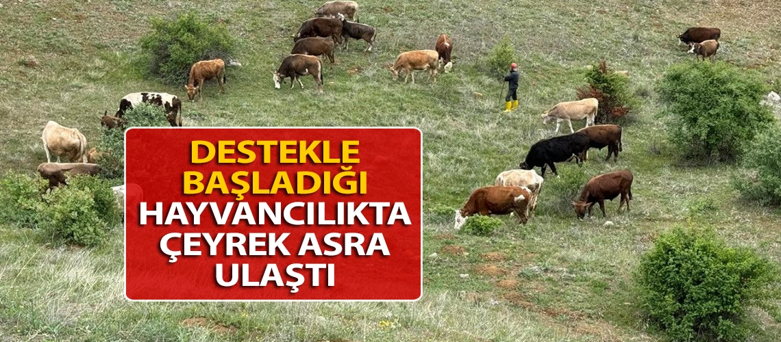 Destekle başladığı hayvancılıkta çeyrek asra ulaştı