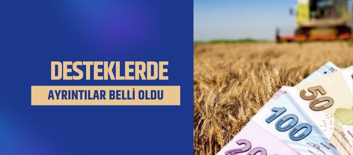 Desteklerde ayrıntılar belli oldu