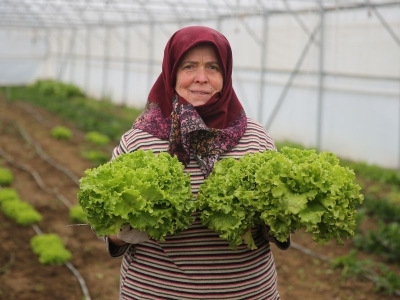 Kadın çiftçinin serasında hedefleri büyüyor