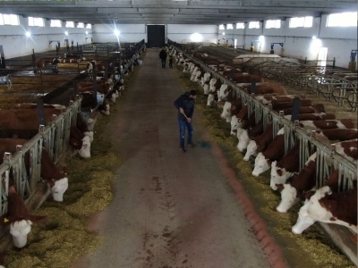 Almanya’dan köyüne döndü, kendi çiftliğini kurdu