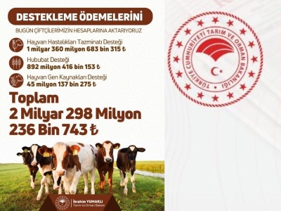 2.2 milyar liralık destekleme hesaplara aktarılıyor