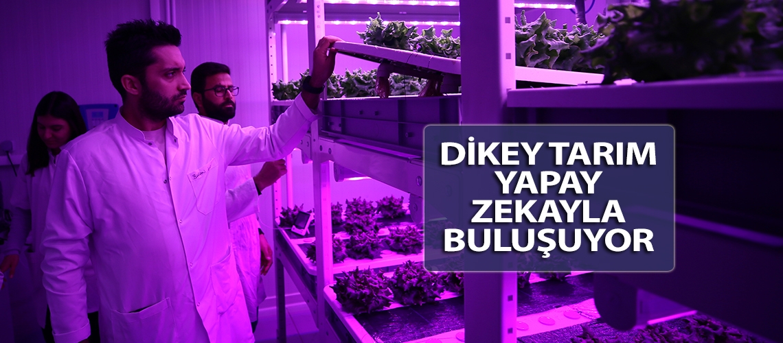 Dikey tarım yapay zekayla buluşuyor