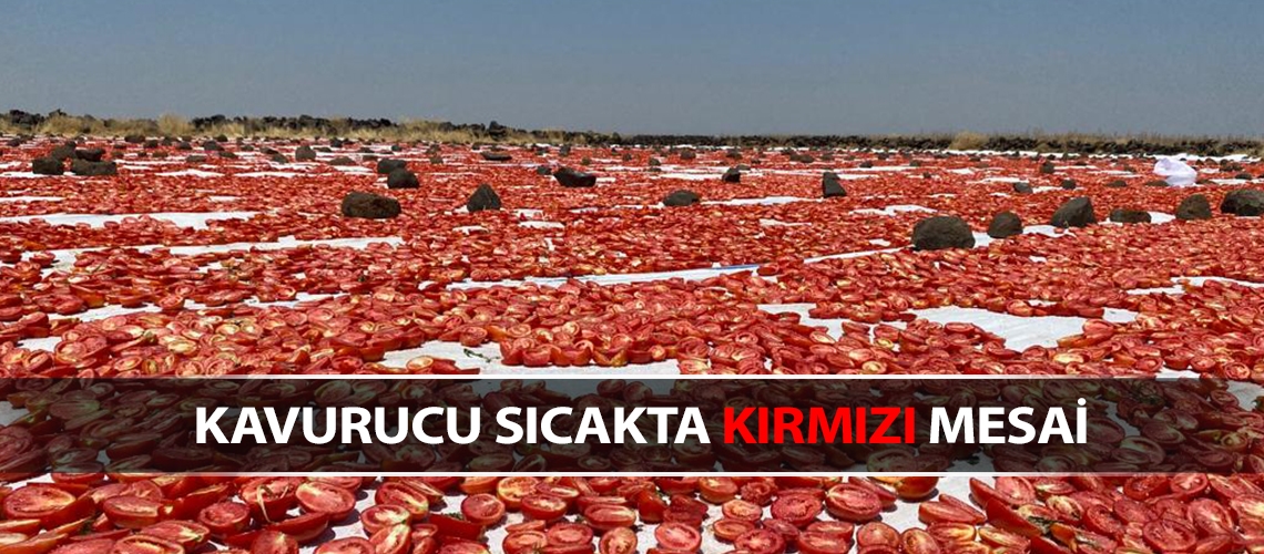 Kavurucu sıcakta kırmızı mesai