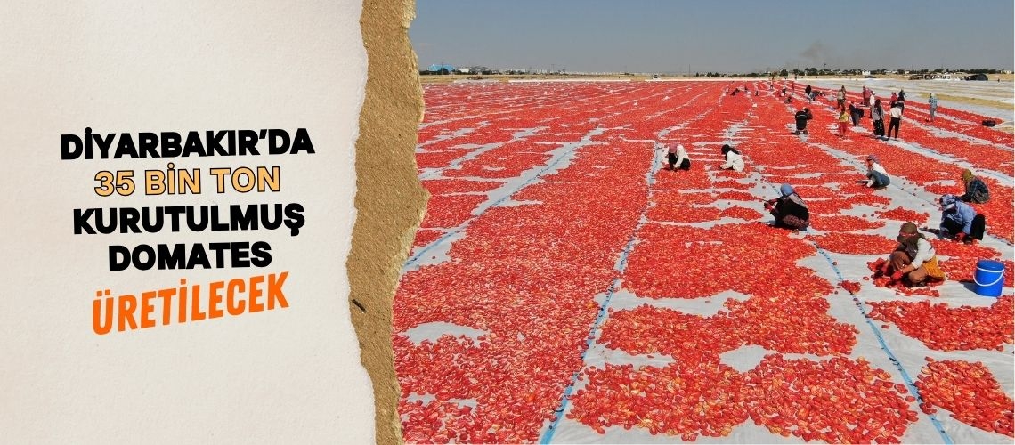 Diyarbakır’da 35 bin ton kurutulmuş domates üretilecek