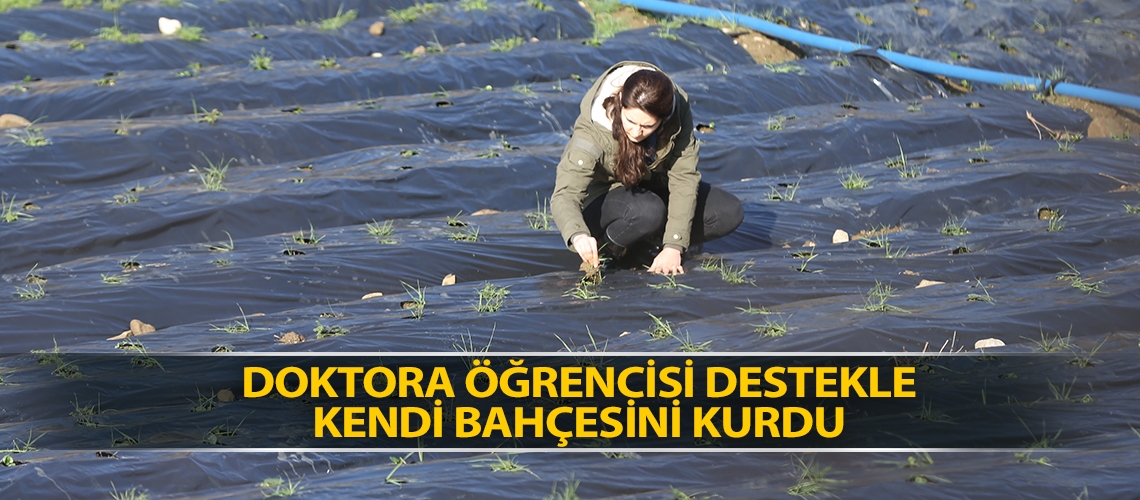 Doktora öğrencisi destekle kendi bahçesini kurdu