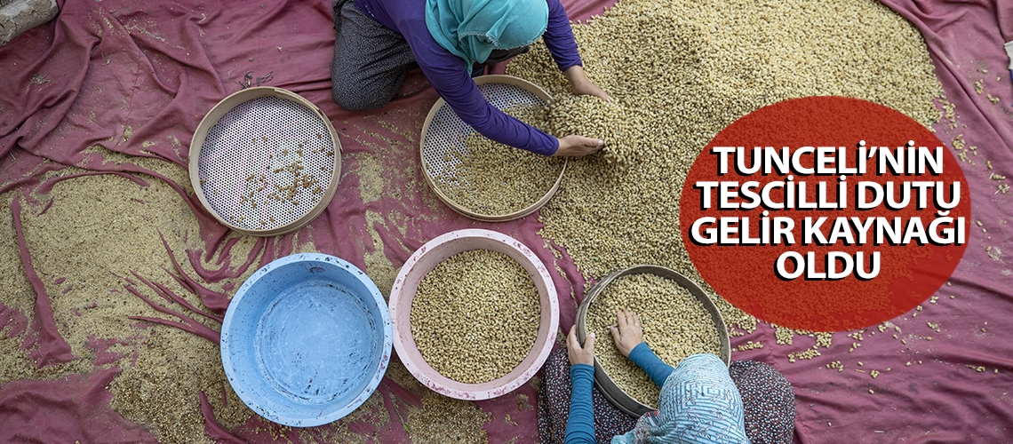 Tunceli’nin tescilli dutu gelir kaynağı oldu