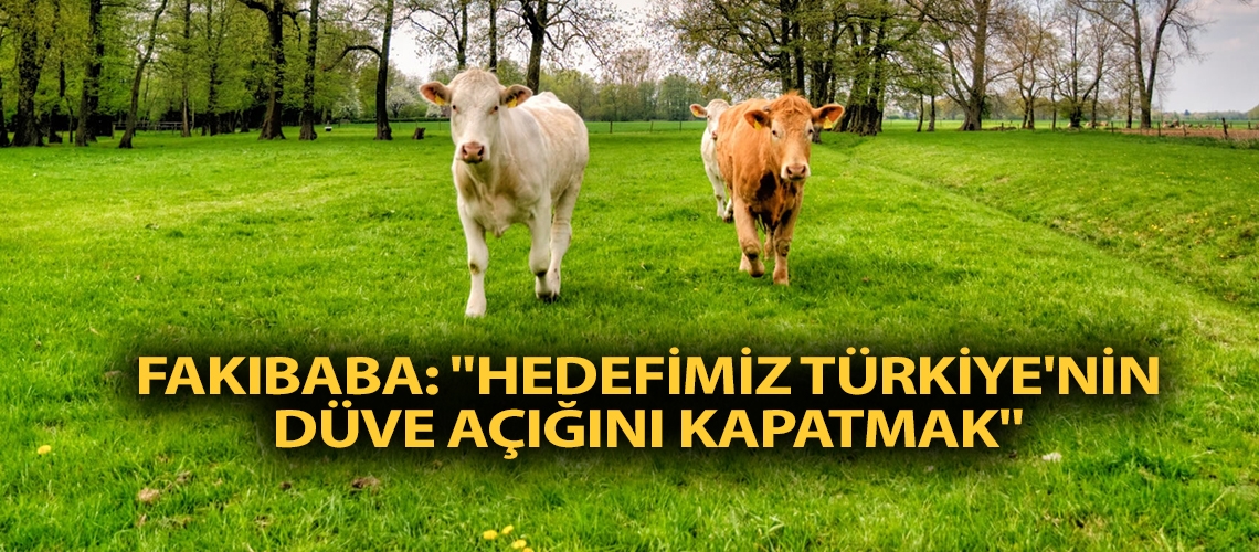 Fakıbaba: 