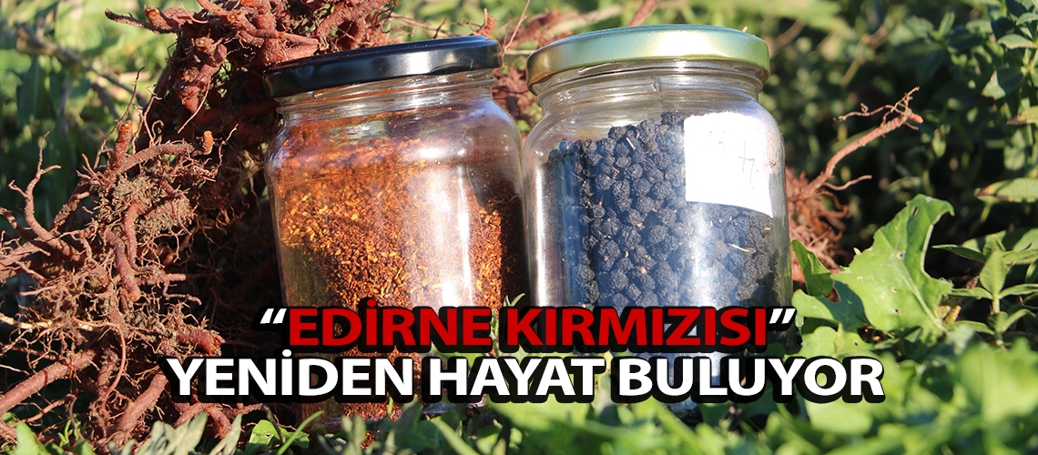 “Edirne Kırmızısı” yeniden hayat buluyor