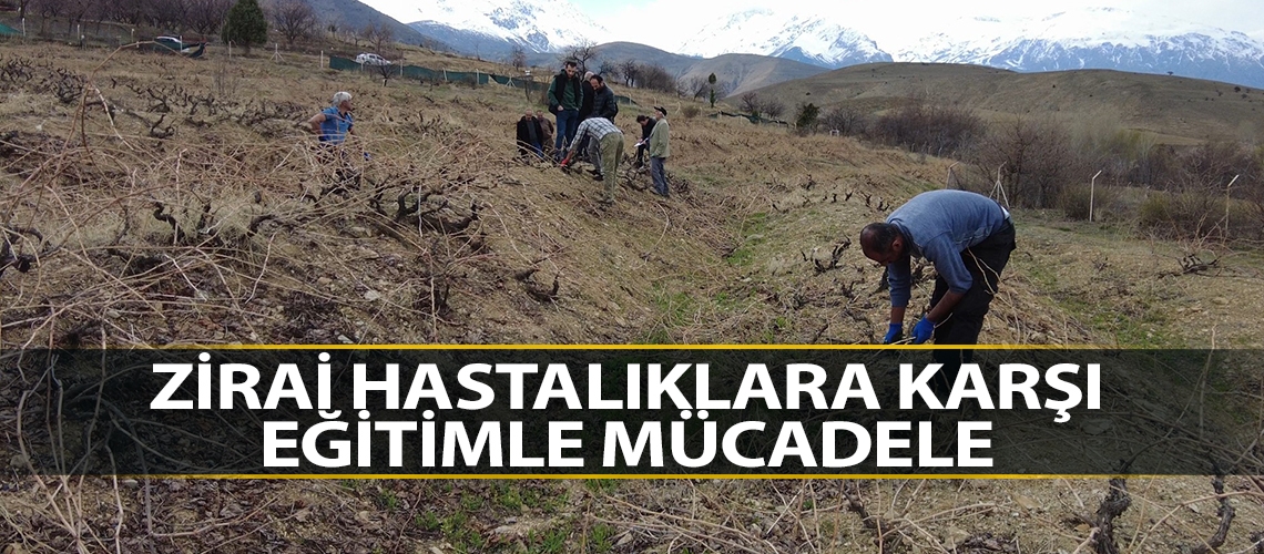 Zirai hastalıklara karşı eğitimle mücadele