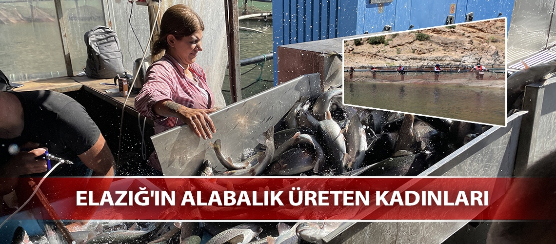 Elazığ'ın alabalık üreten kadınları